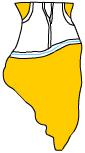 File:Illinois.png