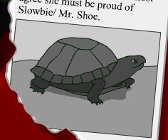 File:Turtle time capsule.png