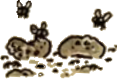 File:TwoGrossBeans.png