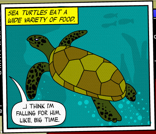 File:Sea turtle lady fan.png