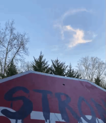 File:TwitterInvertedTrogsign.gif