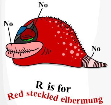 File:The Red Steckled Elbermung.png