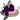Thumbnail for version as of 04:55, 5 August 2026