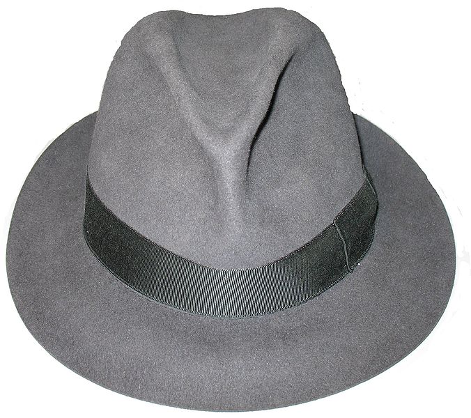 File:Wikipedia fedora.jpg