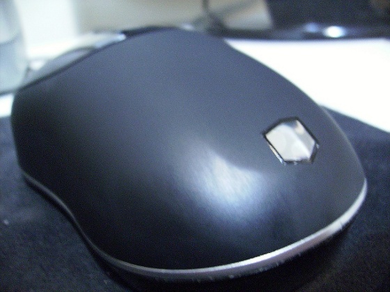 GatewayMouse.JPG