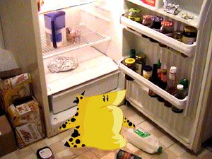 File:cheatfridge.jpg