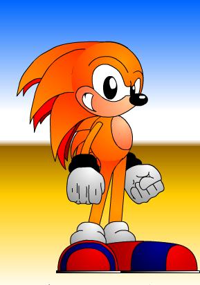 hedgehog.jpeg