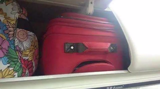 "Oh yeah! This overhead bin is nice and cozy!"