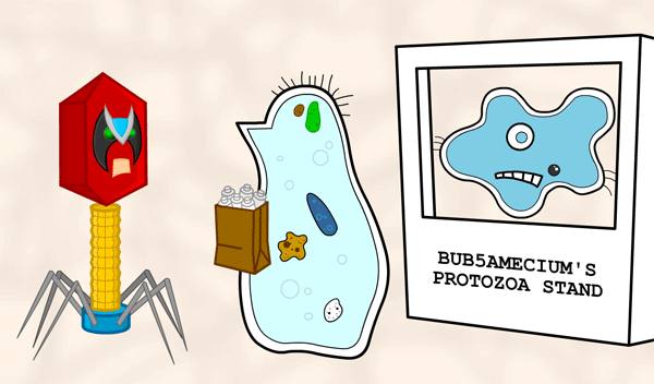 File:Homestarmecium.png