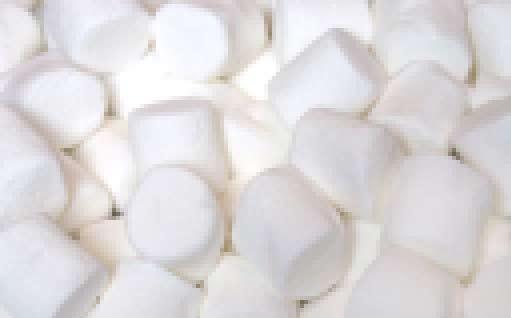 File:marshmallow compe.jpg