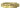 Image:Supuhstar(SupuhSmall).gif