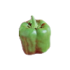 File:37 green pepper.png