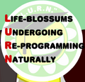 Thumbnail for version as of 04:54, 5 August 2026
