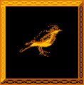 Thumbnail for version as of 04:47, 5 August 2026