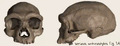 Thumbnail for version as of 04:49, 5 August 2026