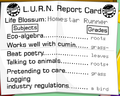Thumbnail for version as of 04:48, 5 August 2026